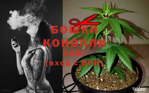 дживик Алексеевка