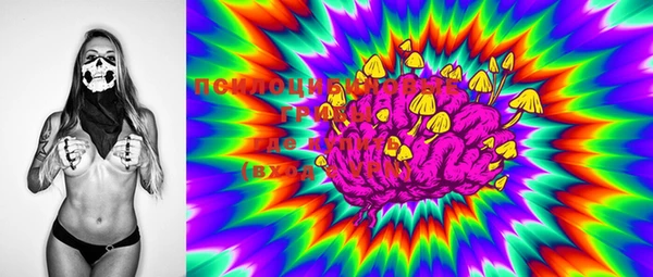 PSILOCYBIN Алексин