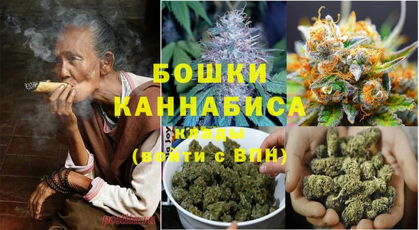 PSILOCYBIN Алексин
